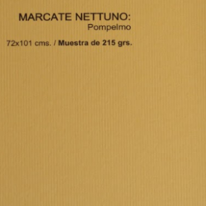 MARCATE NETTUNO POMPELMO