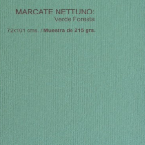 MARCATE NETTUNO VERDE FORESTA